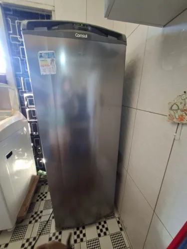 Geladeira Frost Free 342L