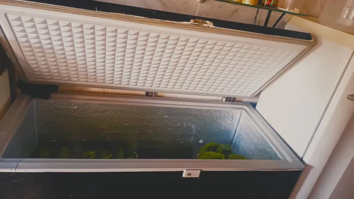 Freezer horizontal 220v
