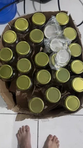 73 Potes Vazios de 500 ml com Tampa - Ótimo Preço!