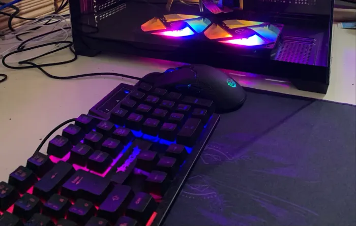 PERIFÉRICOS DE PC