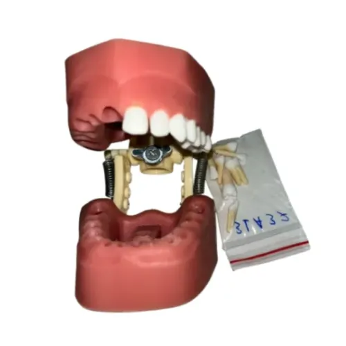 Manequim de Endodontia usado poucas vezes