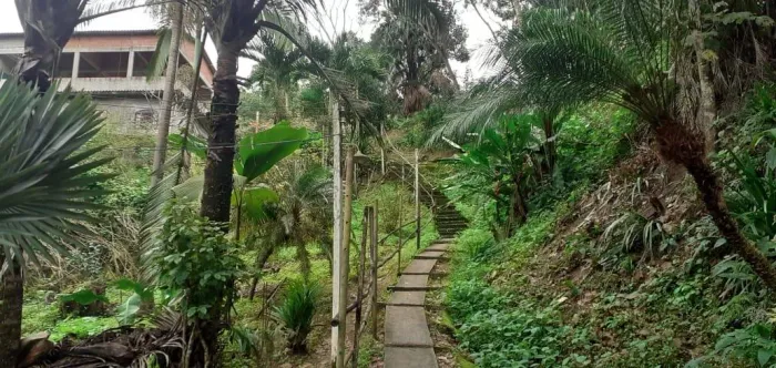 Sítio / Chácara para Venda em Rio de Janeiro, Ilha de Guaratiba