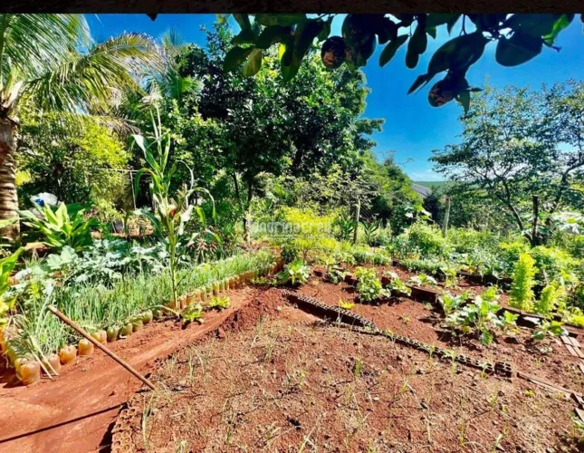 Chácara à Venda em Rural, Jataizinho - PR