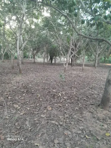 CHACARA NOVA BARRA