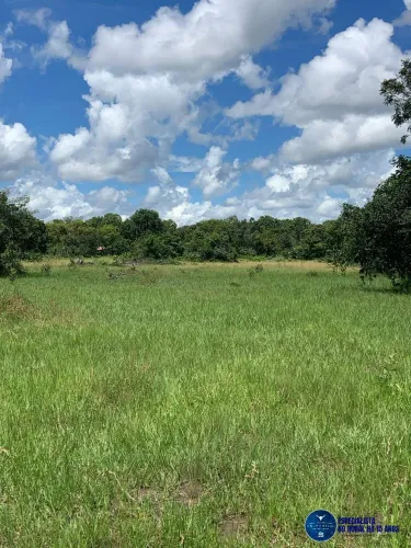 Fazenda à Venda na Região de Itacaiú - GO | 279 Alqueires - Dupla Aptidão