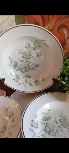 Vendo cinco pratos de refeição pilograma e flores . Sem a vária.novos