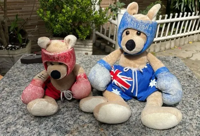 Kit 02 cangurus boxeadores bluey the kangaroo