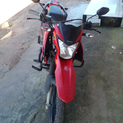 Vendo bros 2024