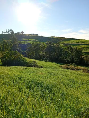 Sitio são Jerônimo da serra