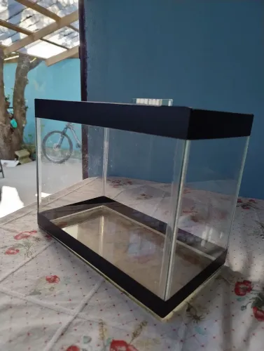 Aquário para peixe Beta 
