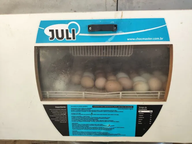 ? *CHOCadeira AUTOMÁTICA CHOCMASTER JULI - 120 OVOS* ?<br>