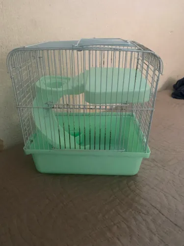 Casa para hamster