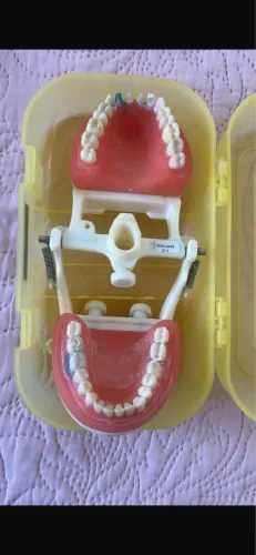 Vendo manequim de dentistica- Pronew