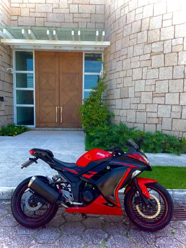 Ninja 300 SE