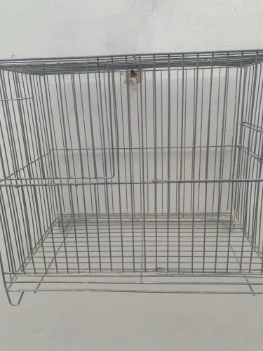 Vende-se gaiola e viveiro para porquinhos da índia 
