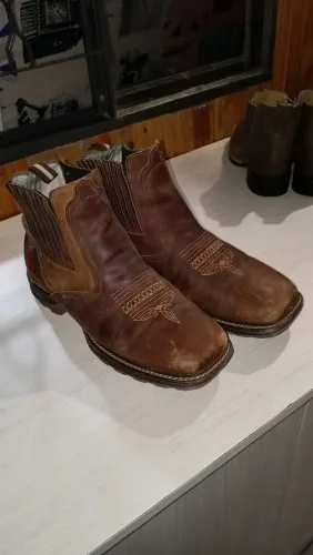Bota zebu