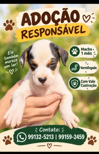 Adoção responsável