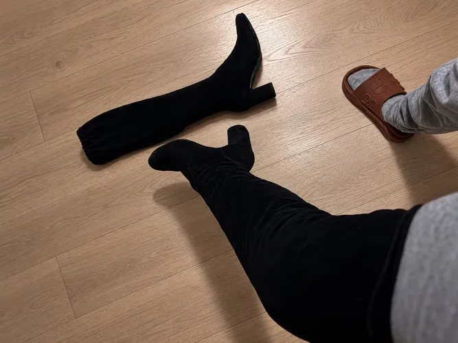 Bota