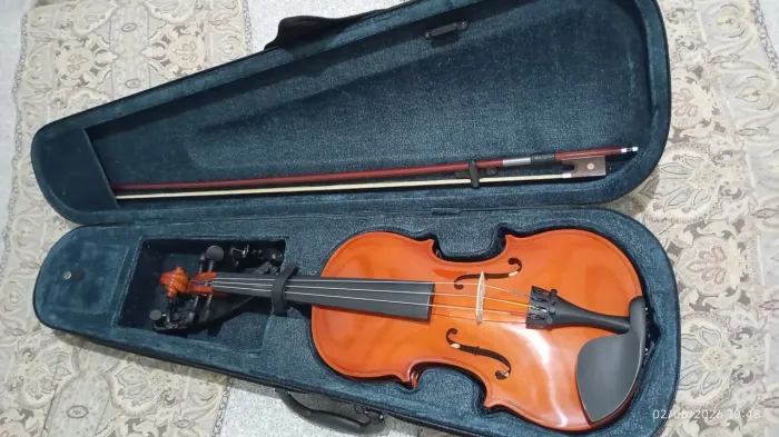 Violino 