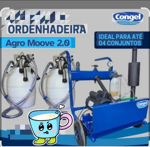 Ordenha de vacas