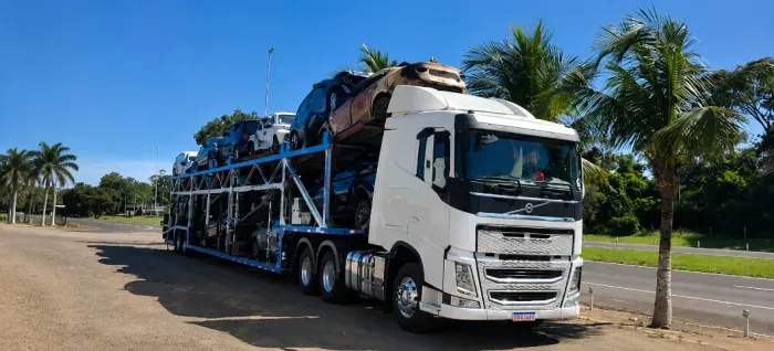 TRANSPORTE DE VEICULOS CEGONHA PARA MG. BH , BA, SC, DF, GO