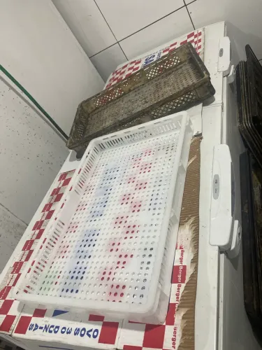 Caixa para pão congelado 