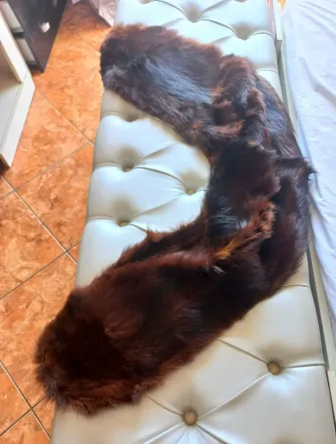 Estola de pele