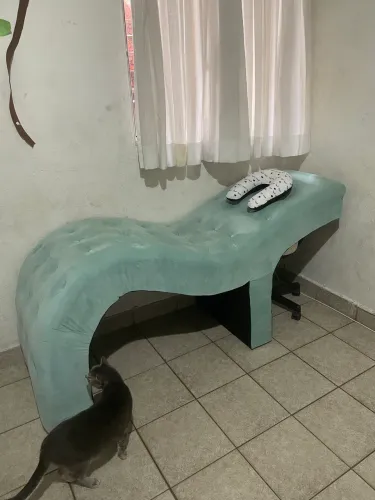 Maçã curvada