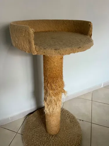 [DOAÇÃO] Arranhador e Cama para Gatos - Ideal para Reformar / Restaurar