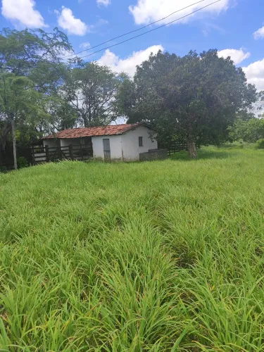fazenda com 40 hectares em comum município de Monte Alegre um luxo de fazenda