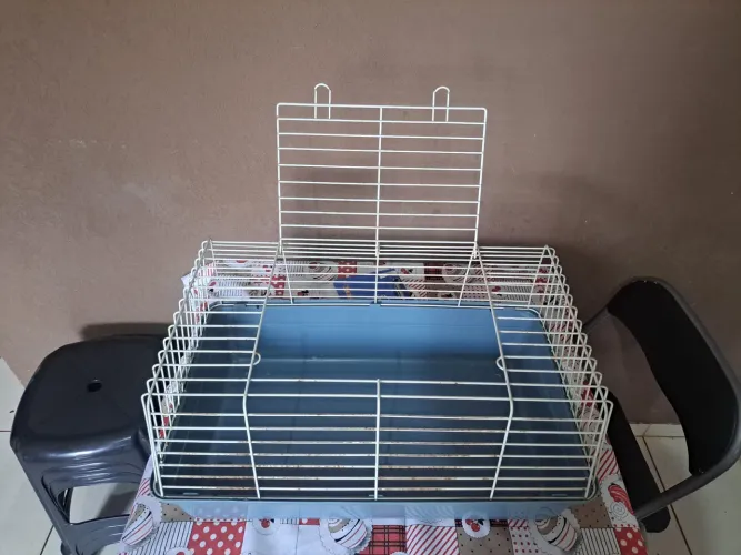 Gaiola para  Ramster e coelhos ou outros Roedores Pequenos