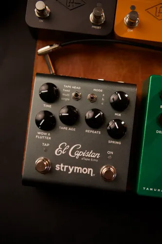 Strymon El capistan v2 JOHN MALK