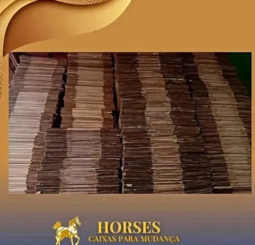 CAIXA DE PAPELÃO