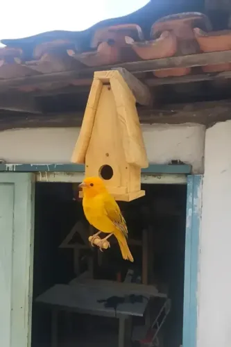 Casinha/ Abrigo/ Ninho para Passarinhos- Feito em Madeira Toda Parafusada
