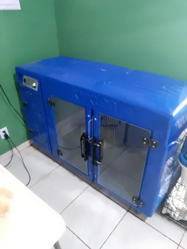 Máquina de secar cachorro