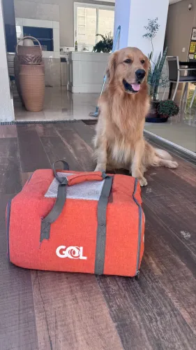 Bolsa Transporte PET tamanho Oficial de Voo