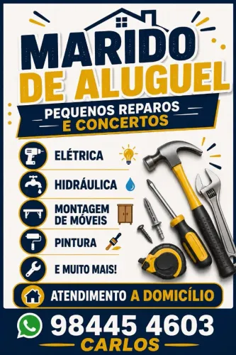 Marido de aluguel