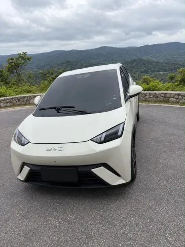 BYD Dolphin Mini (Elétrico) 2026