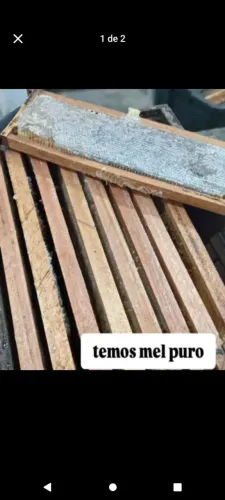 Apiário do tetéu