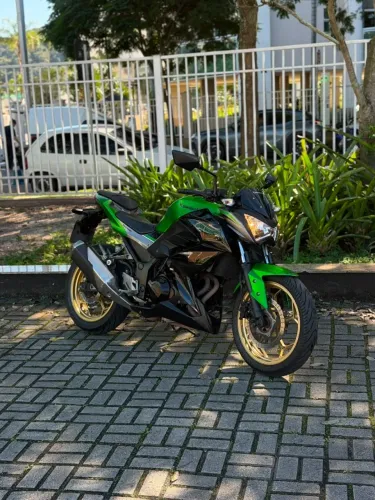 Kawasaki Z 300 2018