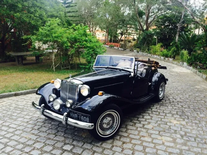 MP Lafer Classico 1.6 8V Gasolina 2P Manual 1979