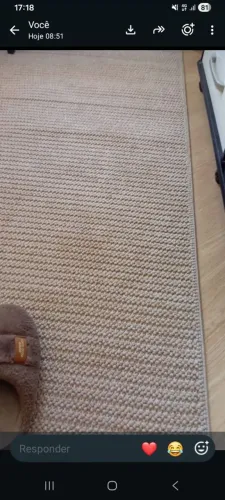 Tapete novo bonito 2x2.5