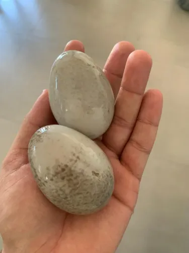 Ovos