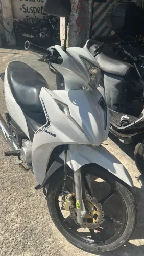 Vende-se avelloz, em ótimo estado.