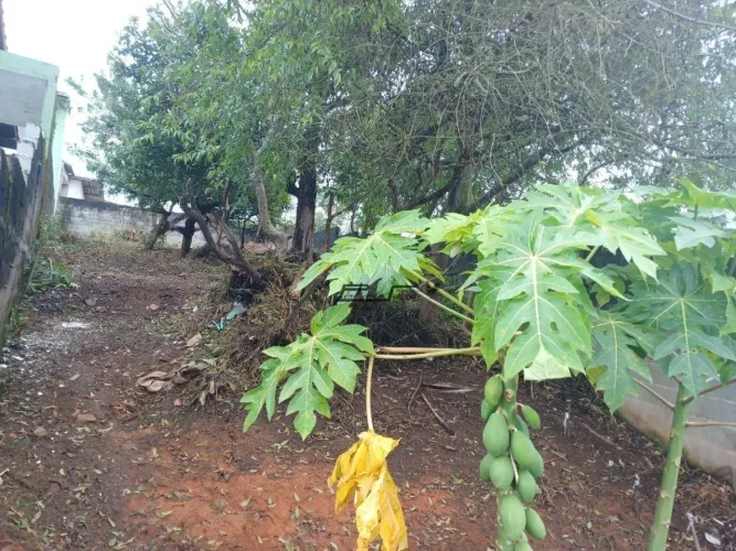 Lindo Terreno no Barro Branco