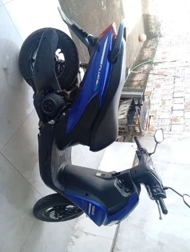 Vendo Fluo 2025