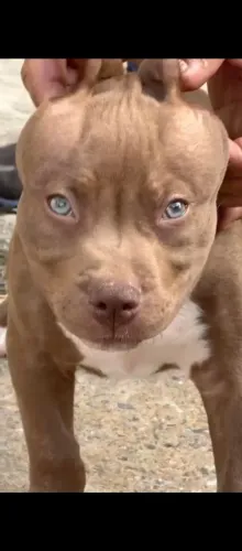 Pit monster