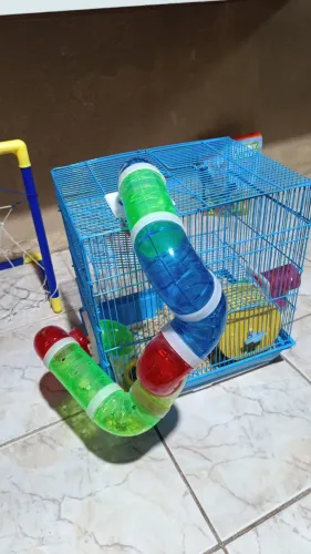 Gaiola para hamster
