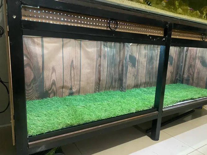 Terrário para animal exótico 