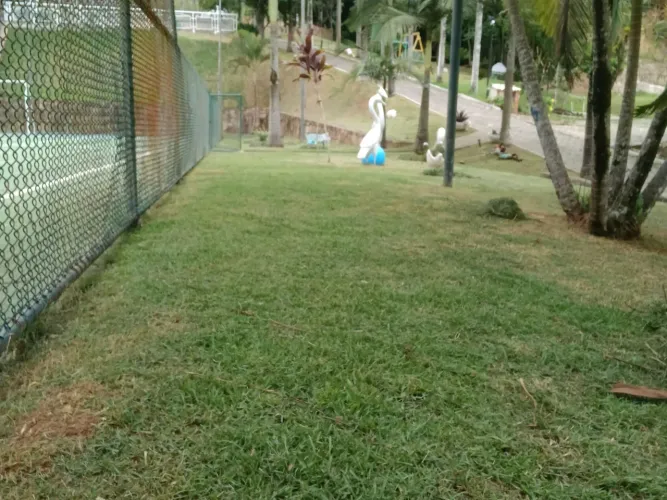 Paisagismo e jardinagem